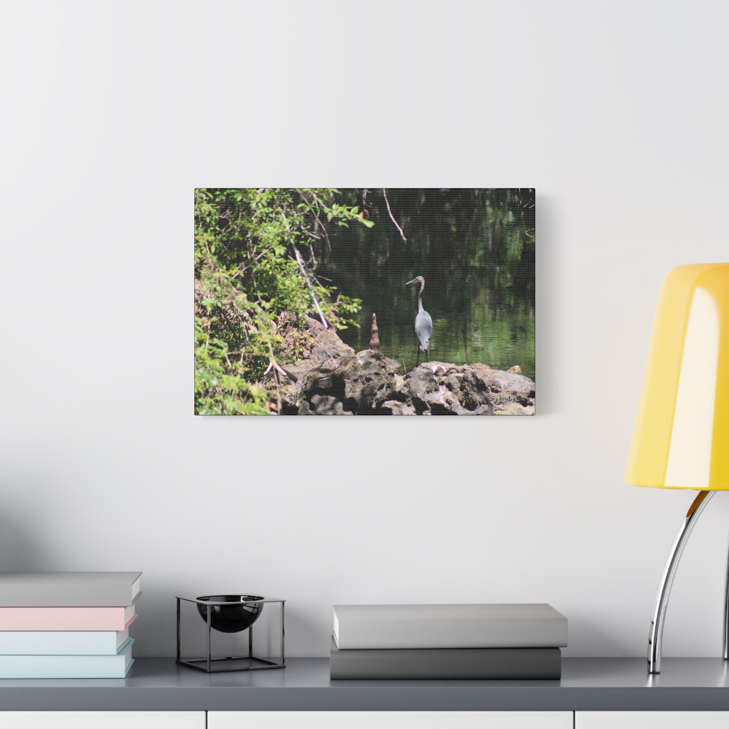 Anhinga bird canvas art featuring a serene scene by the water with lush greenery
