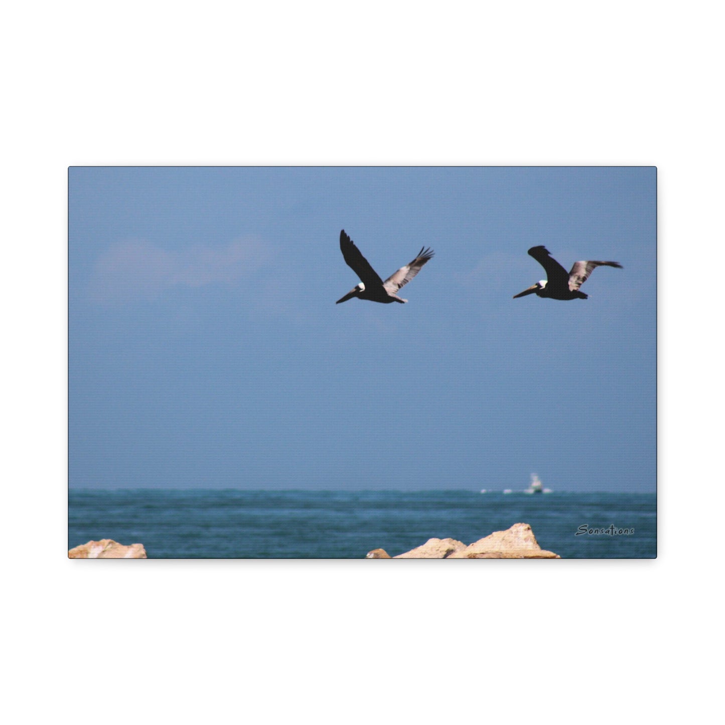 Two coastal birds flying over the ocean in vibrant coastal bird wall art by Printify