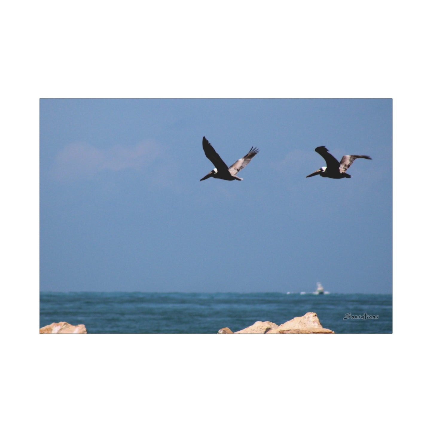 Coastal bird wall art featuring flying birds over a blue ocean backdrop for nature enthusiasts