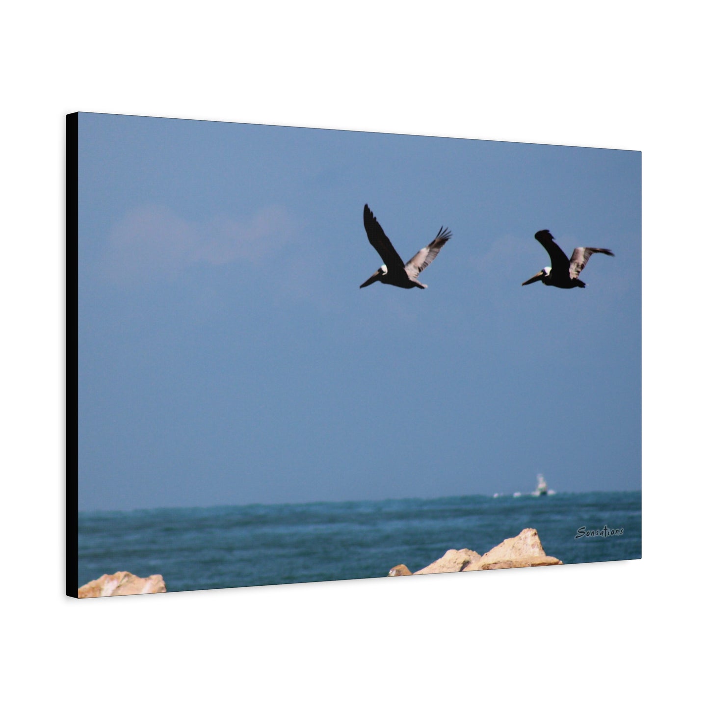Coastal bird wall art featuring two birds flying over the ocean with a clear blue sky