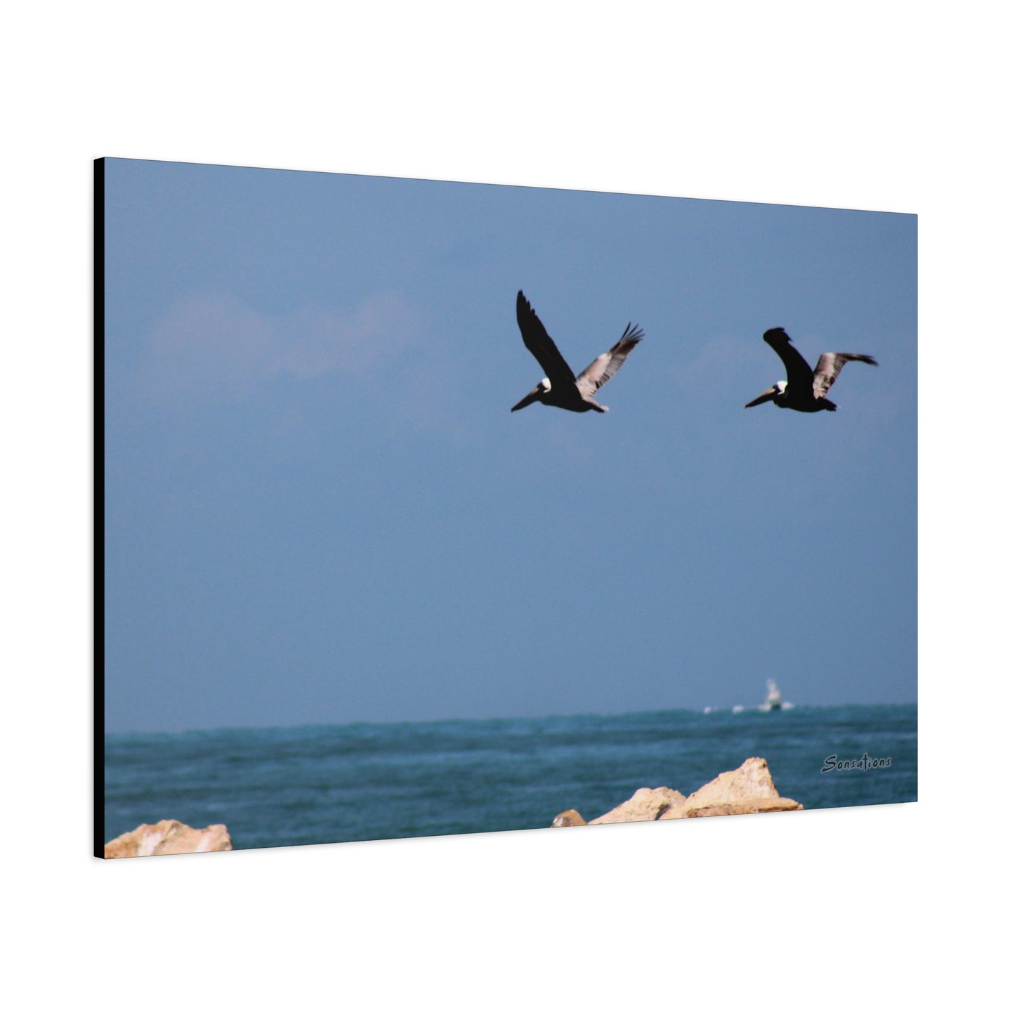 Coastal bird wall art featuring two birds flying over the ocean and rocks in a clear blue sky