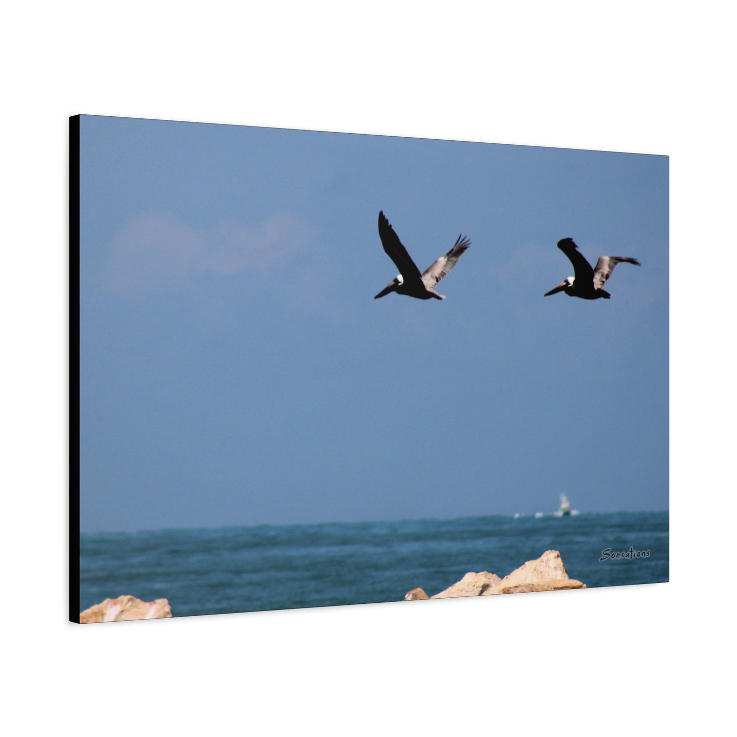 Coastal bird wall art featuring two birds flying over the ocean with a blue sky background