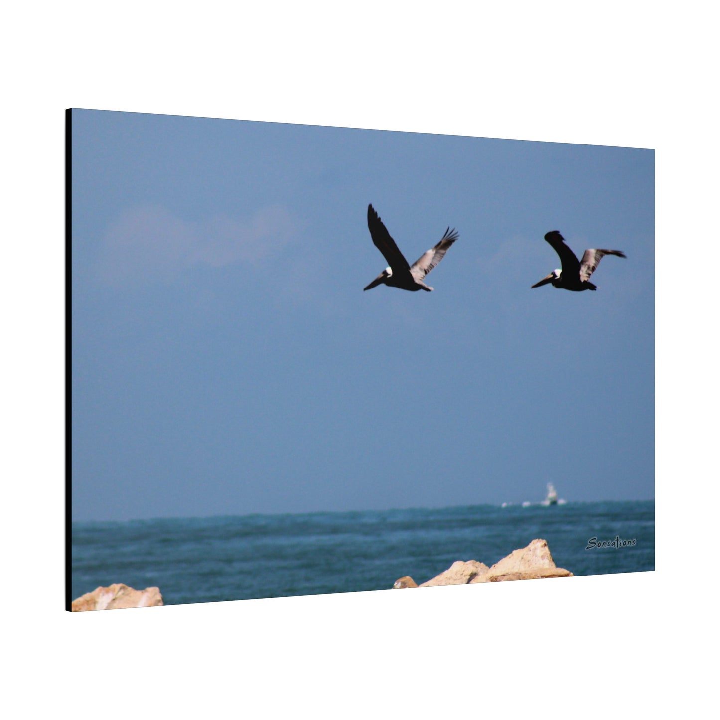 Coastal bird wall art featuring two birds flying over a serene ocean view