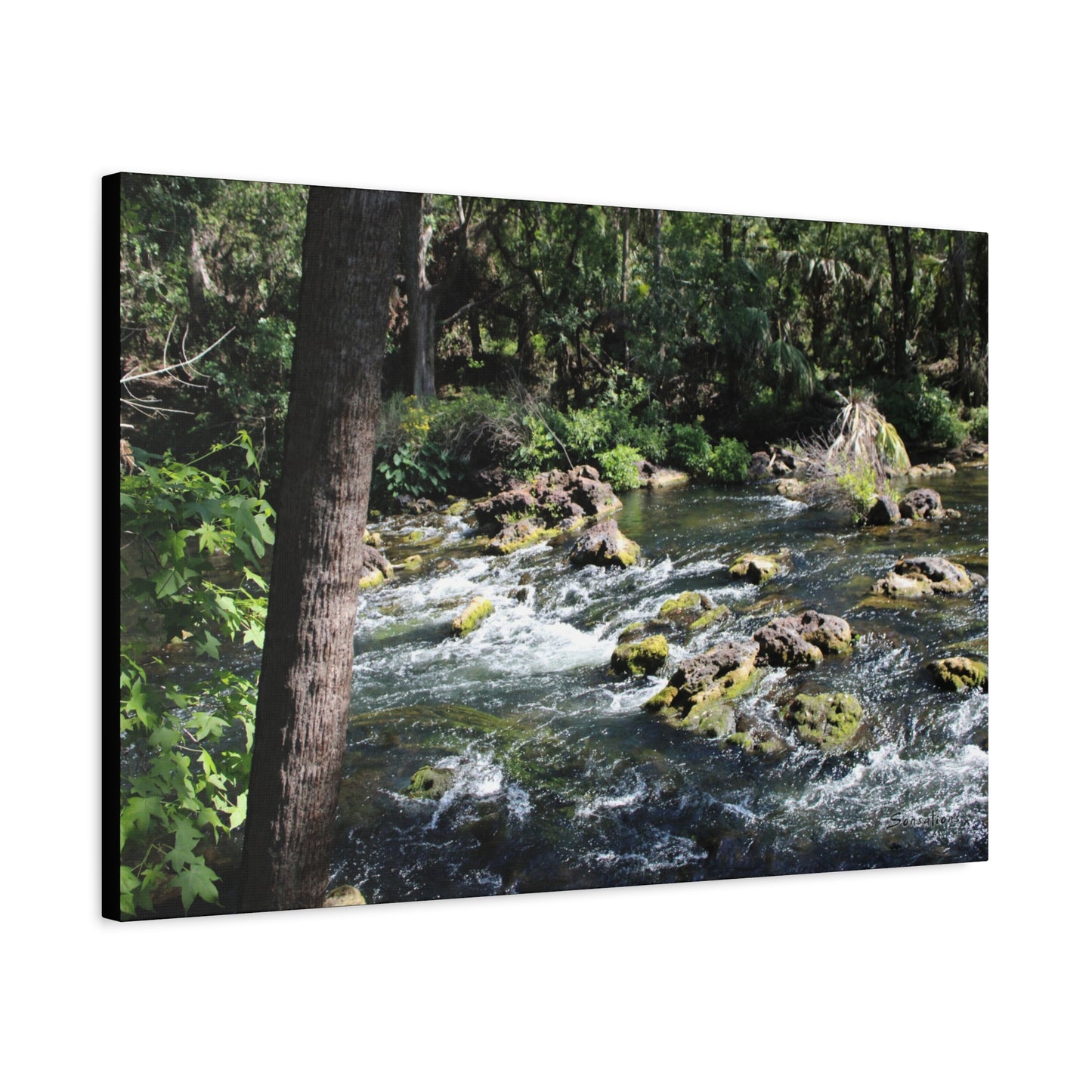 River Rapids Print Gift showcasing a serene water scene with greenery and flowing water on canvas
