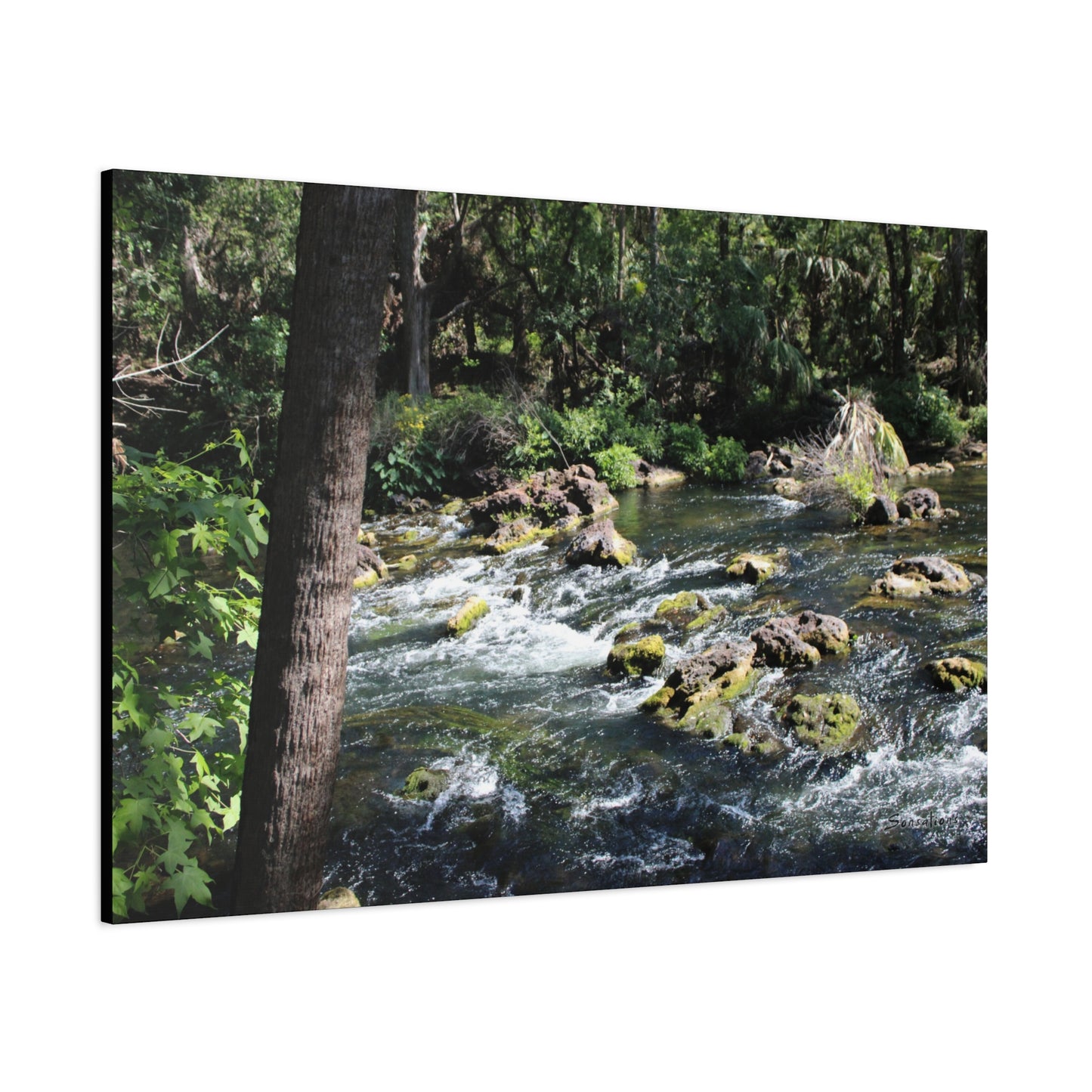 River Rapids Print Gift featuring a serene riverside scene with flowing water and lush greenery