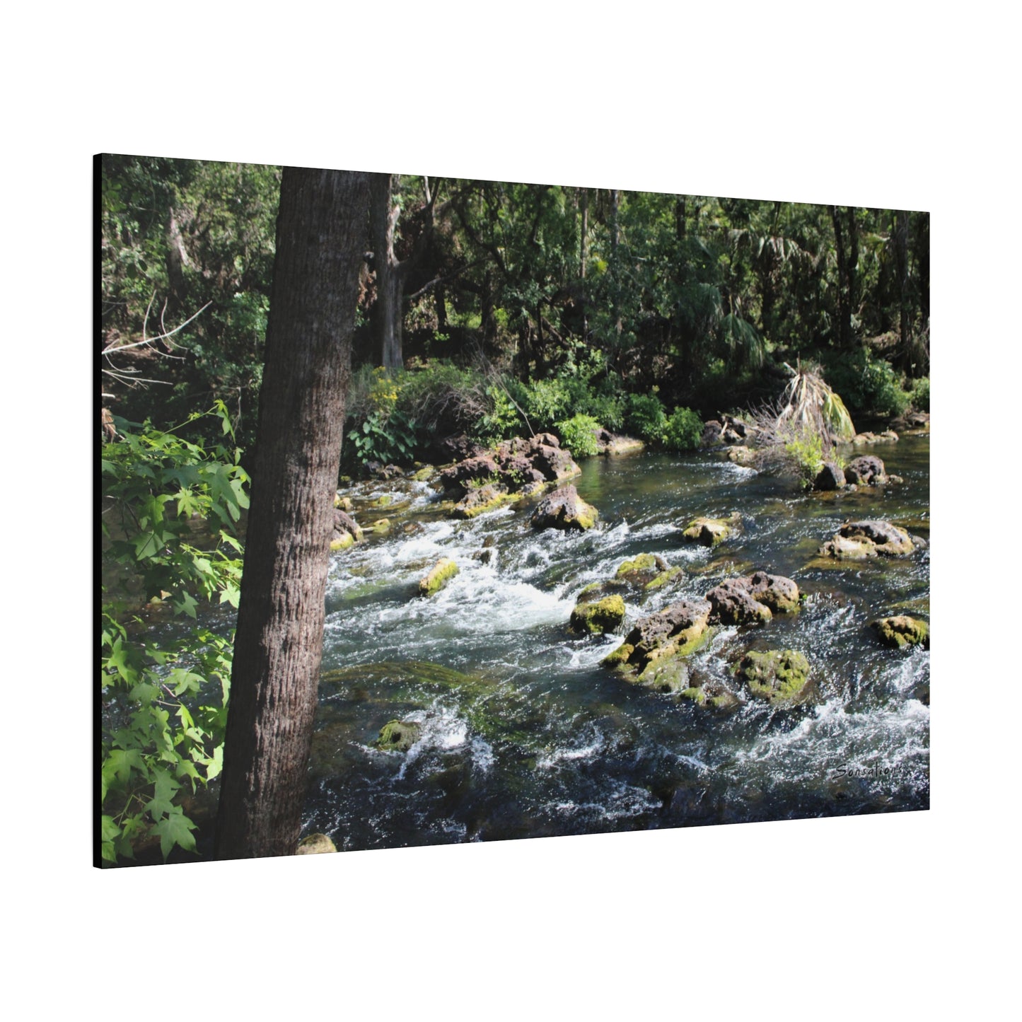 River Rapids Print Gift showcasing a vibrant nature scene with flowing water and lush greenery