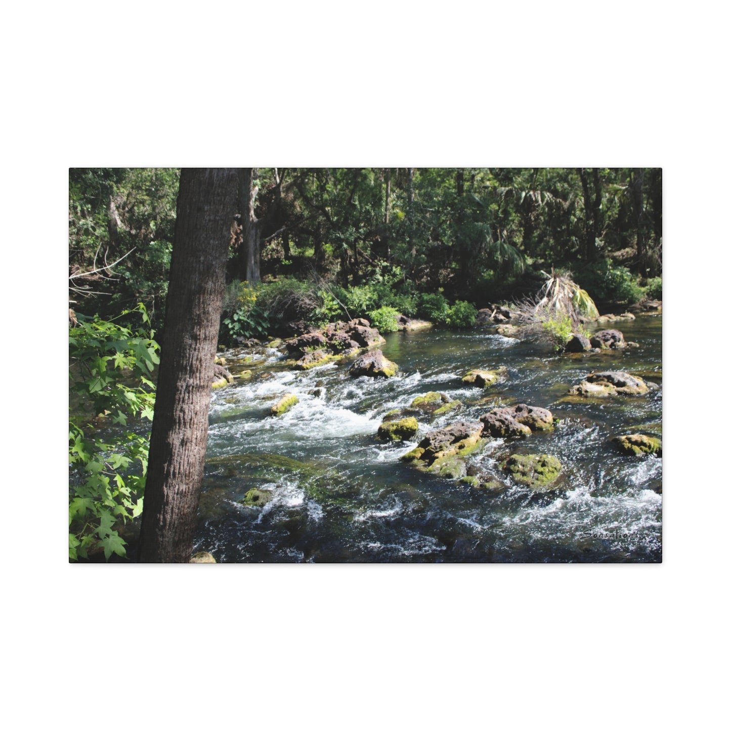 Serene River Rapids Print Gift showcasing lush greenery and flowing water in a tranquil natural setting