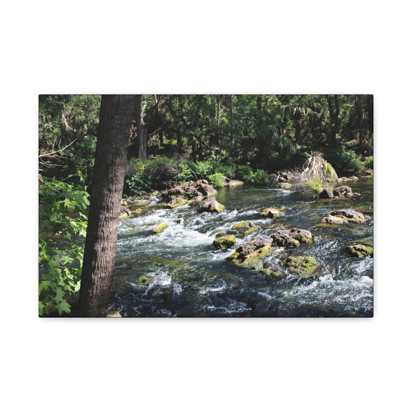 River Rapids Print Gift showcasing vibrant nature with flowing water and lush greenery