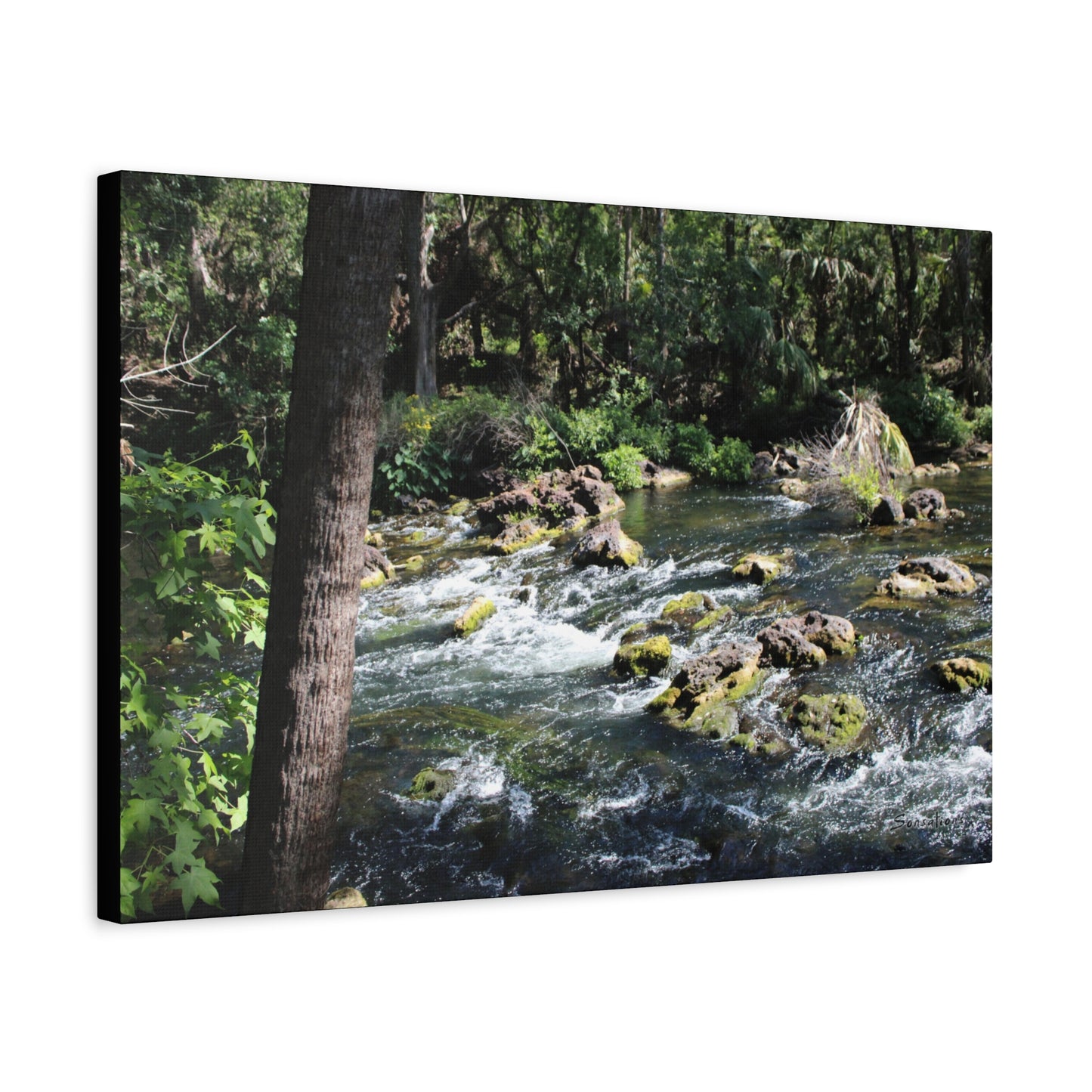 River Rapids Print Gift showcasing a scenic river with lush greenery and flowing water