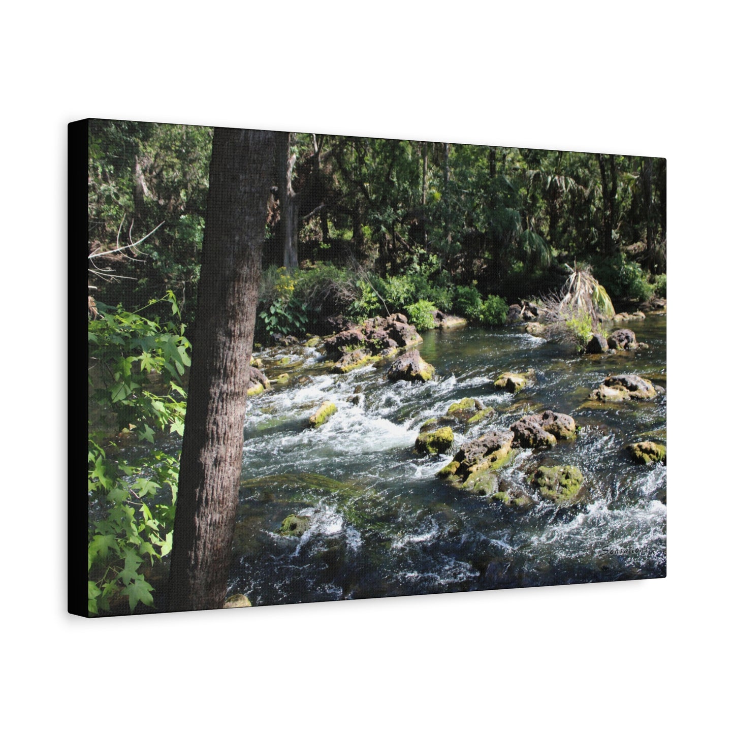 River Rapids Print Gift depicting a serene riverside scene with flowing water and lush greenery