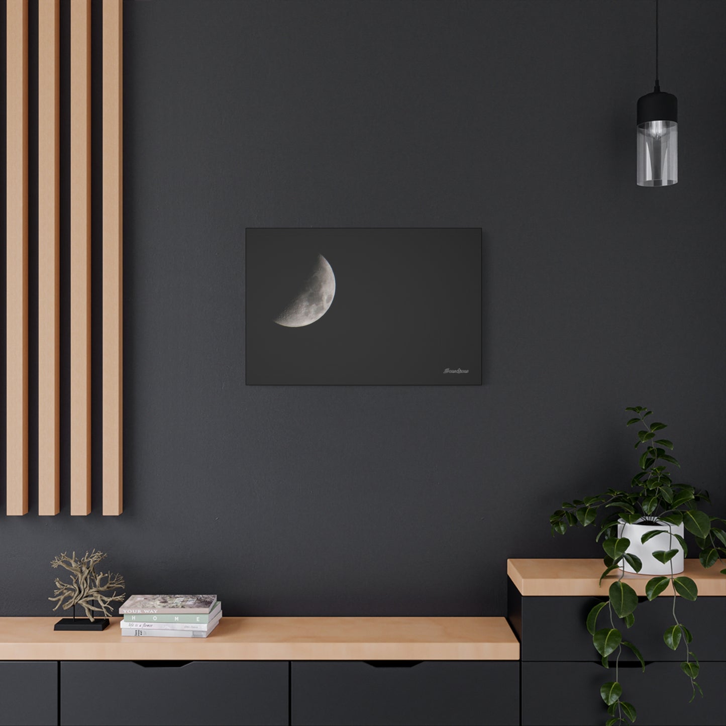 Moon - Matte Canvas, Stretched, 1.25"