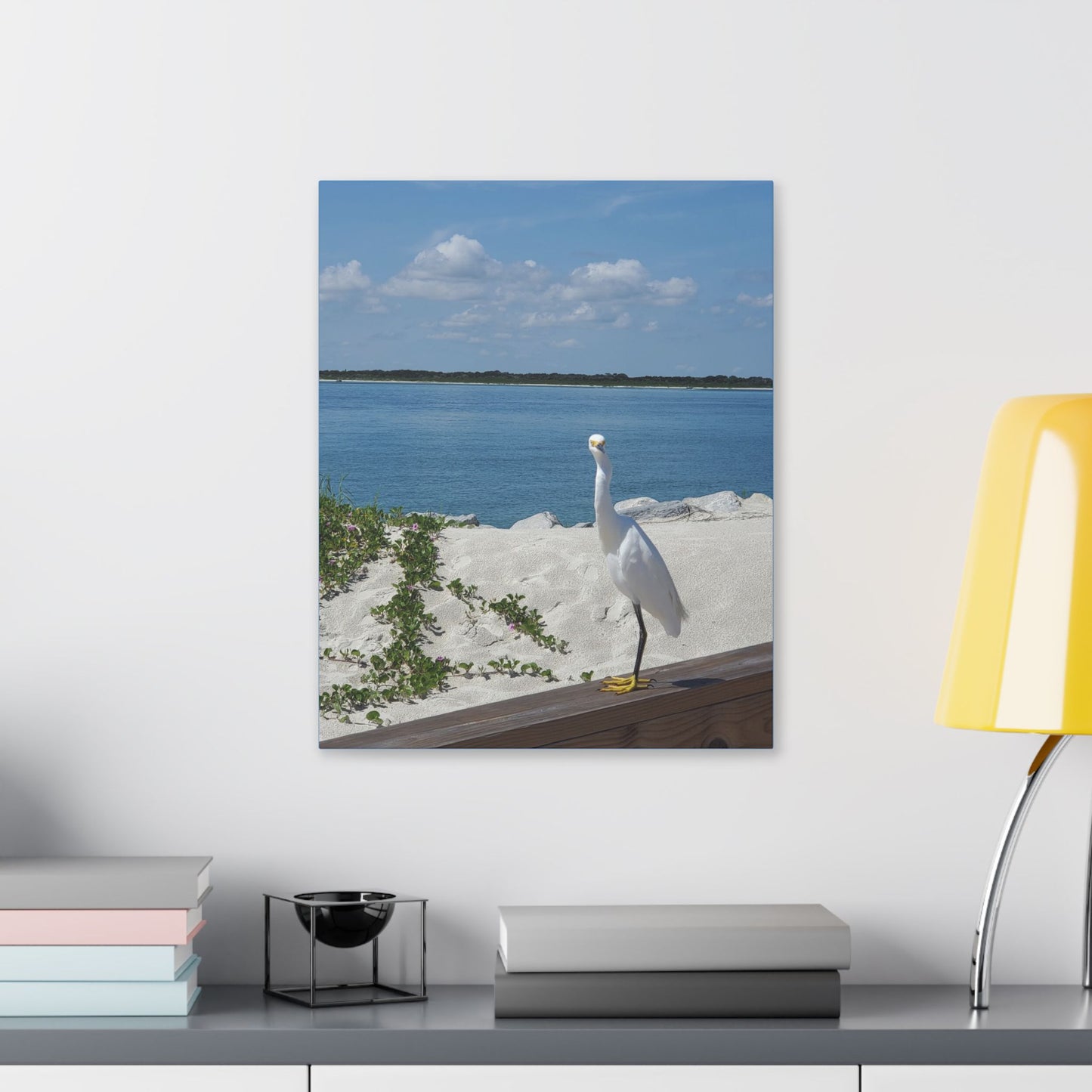 White Bird Looking - Classic Stretched Canvas