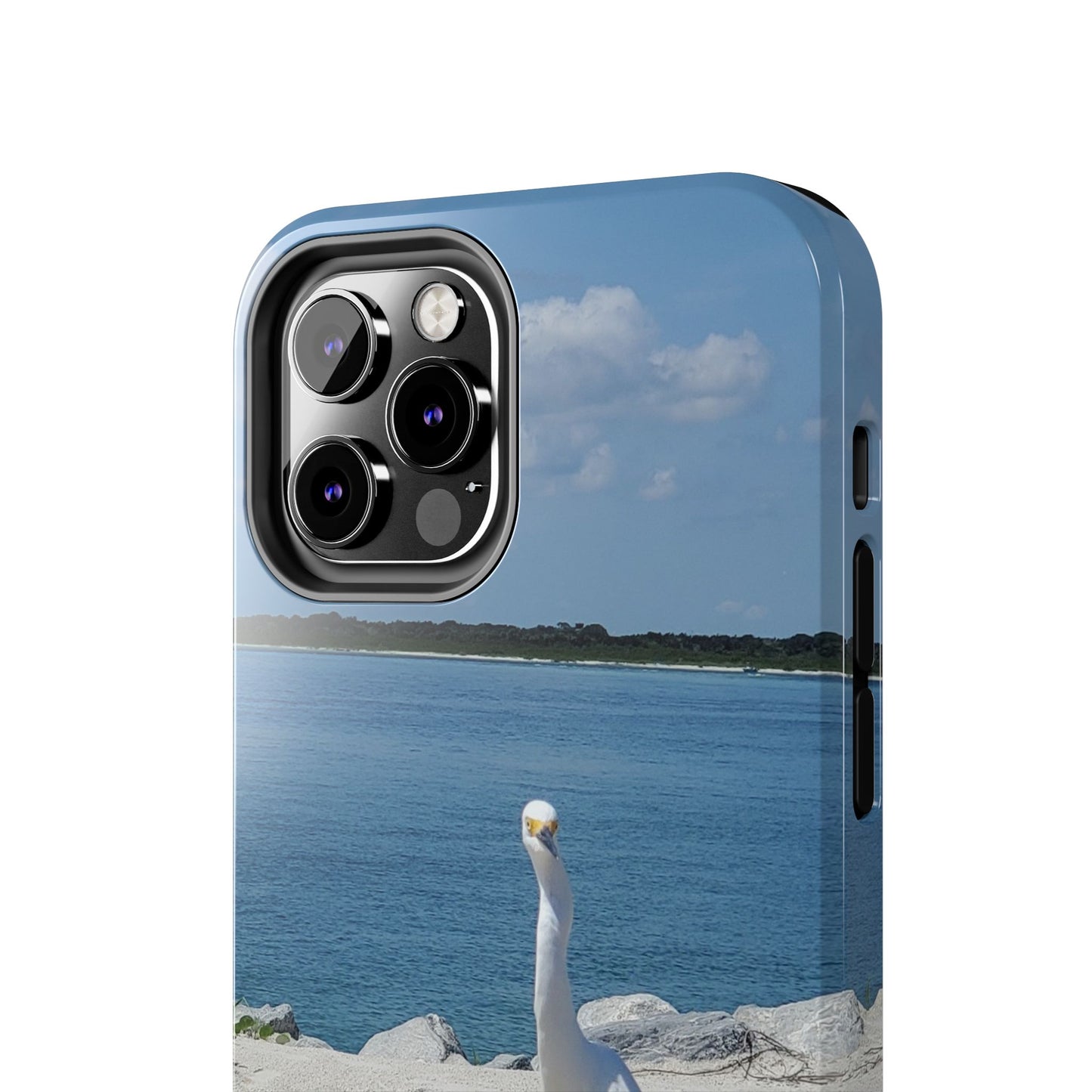 White Bird Looking - Tough Phone Cases