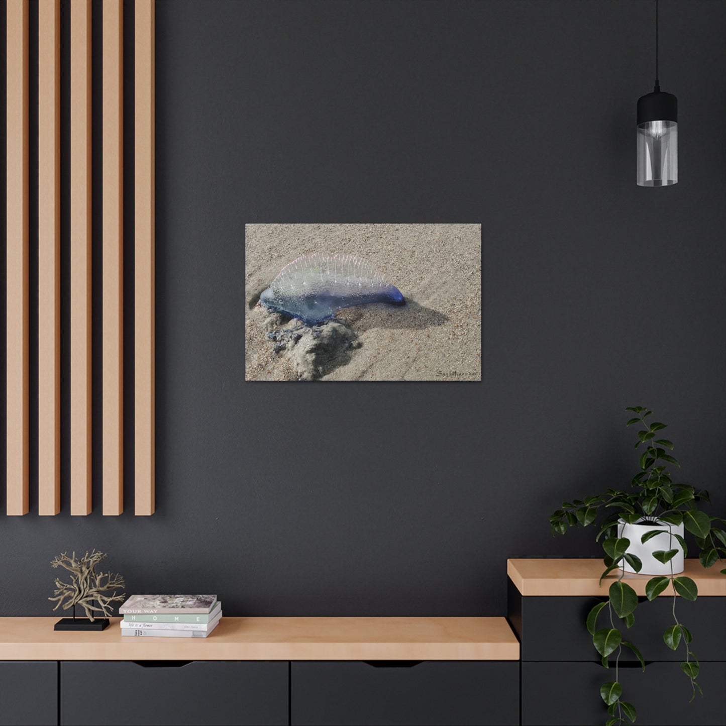 Man O' War Dolphin - Canvas Gallery Wraps