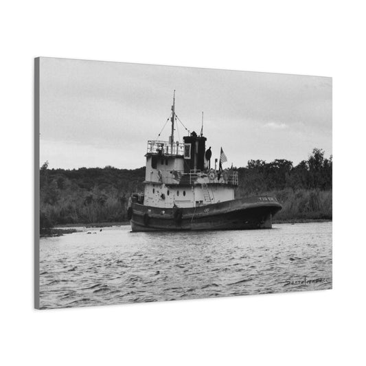 Tiger Tug - Matte Canvas, Stretched, 1.25"