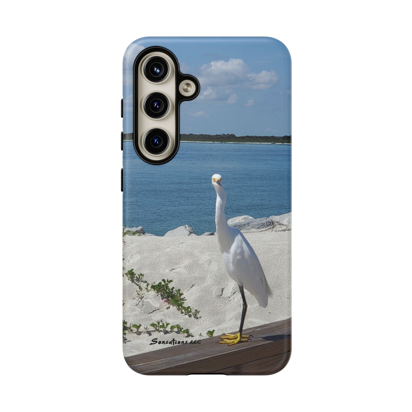 White Bird Looking - Tough Cases