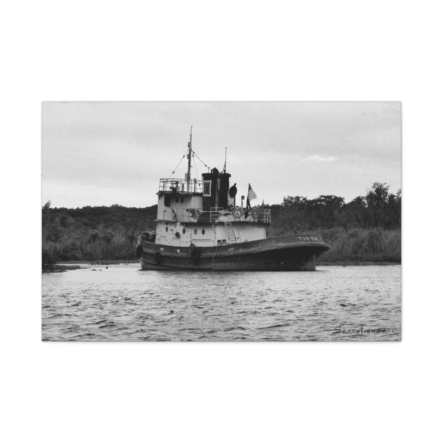 Tiger Tug - Matte Canvas, Stretched, 1.25"