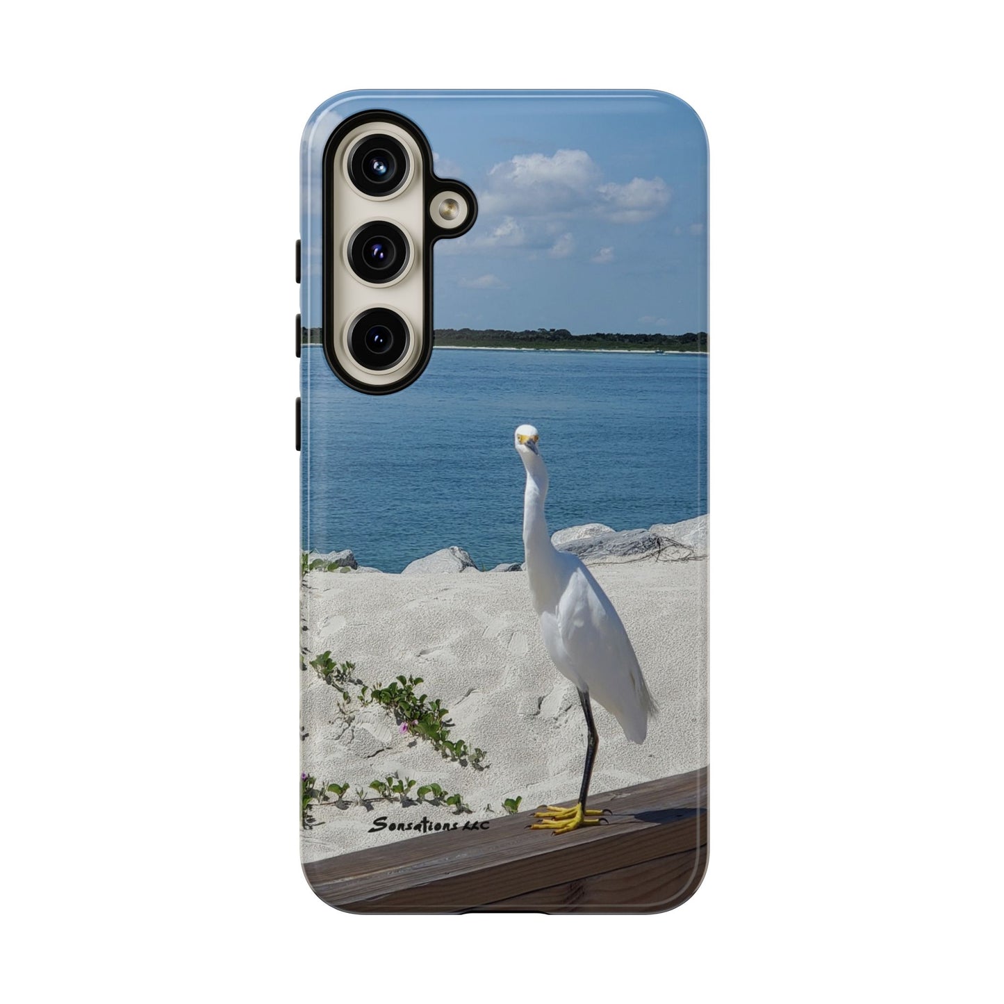 White Bird Looking - Tough Cases