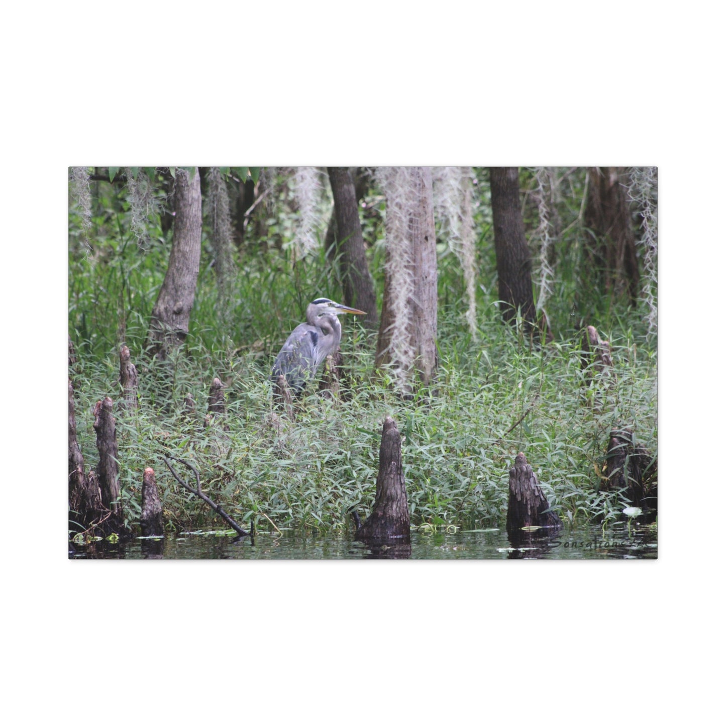 Heron Hunch - Matte Canvas, Stretched, 1.25"