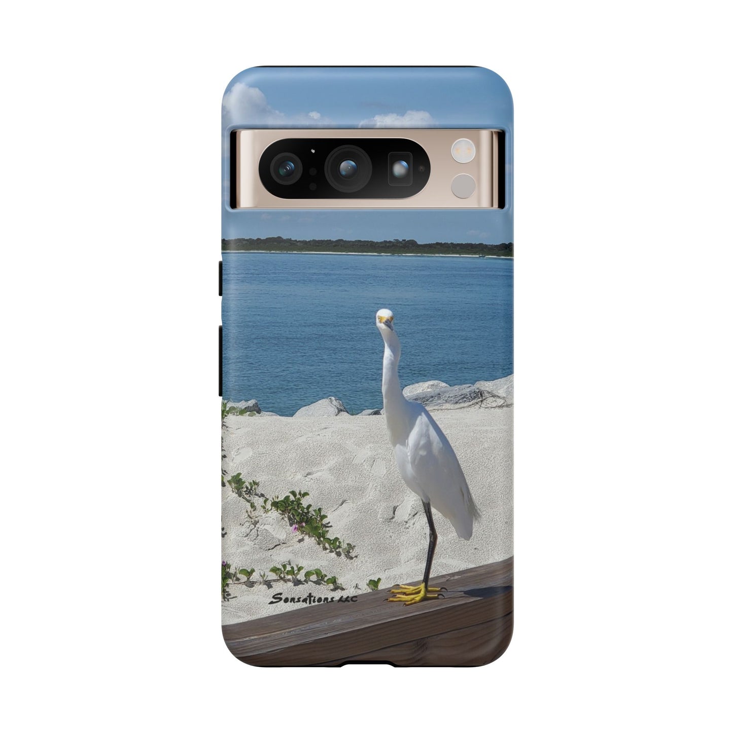 White Bird Looking - Tough Cases