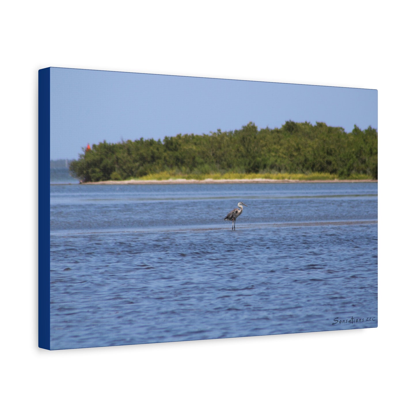 Great Blue Heron  - Matte Canvas, Stretched, 1.25"