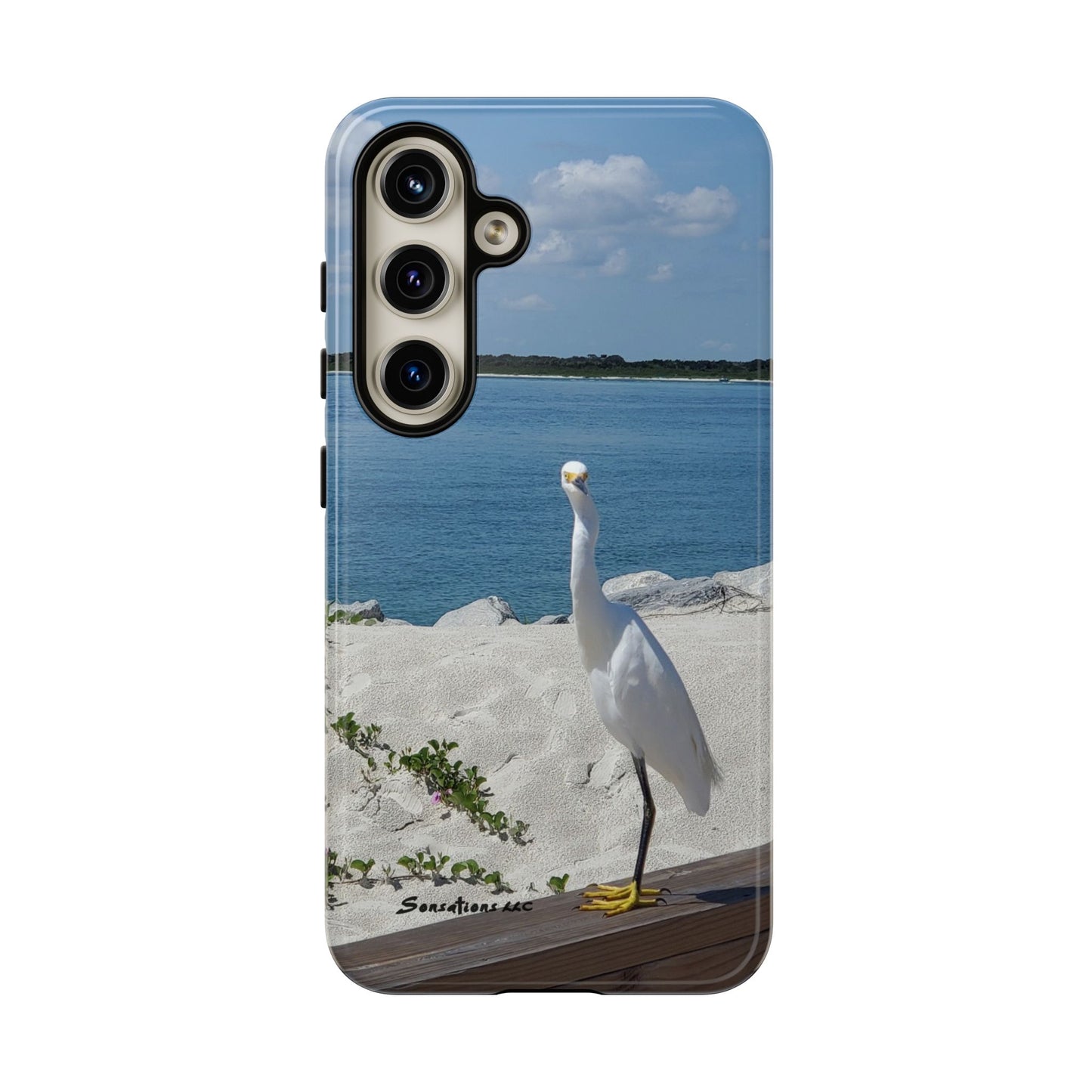 White Bird Looking - Tough Cases