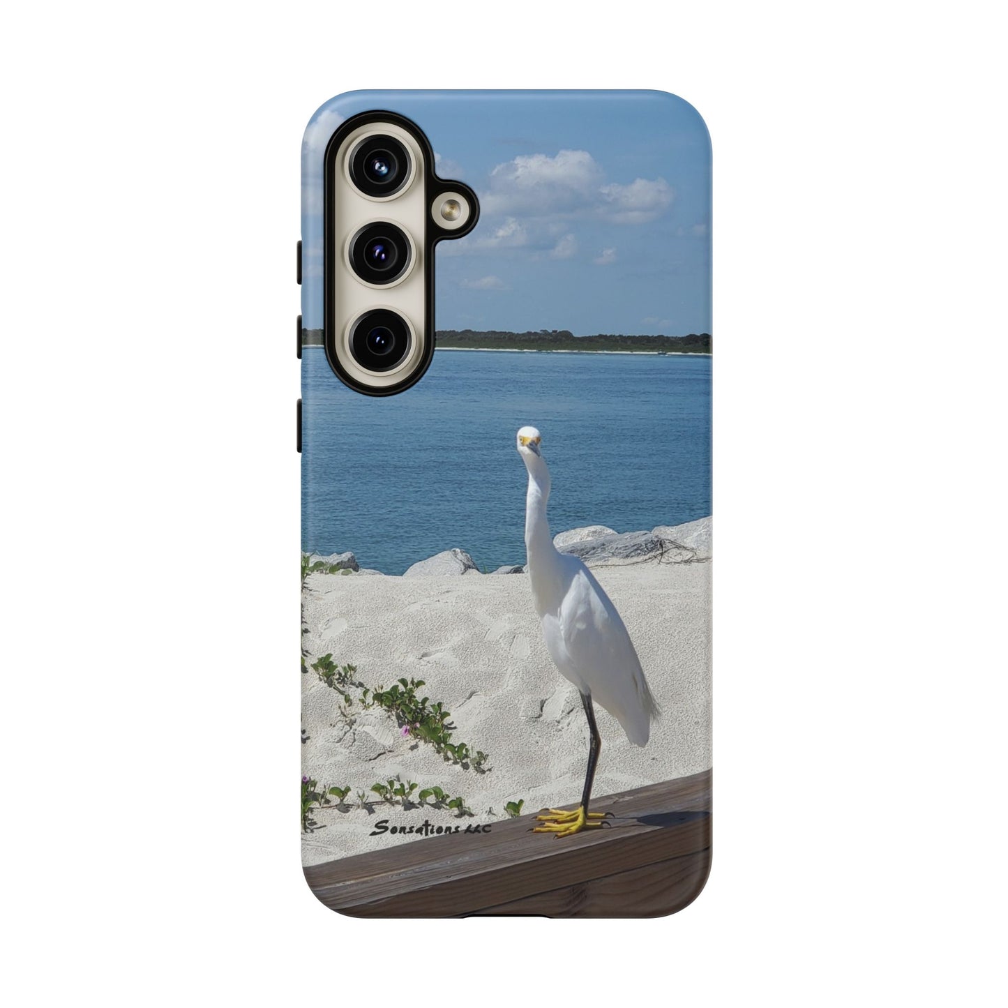 White Bird Looking - Tough Cases