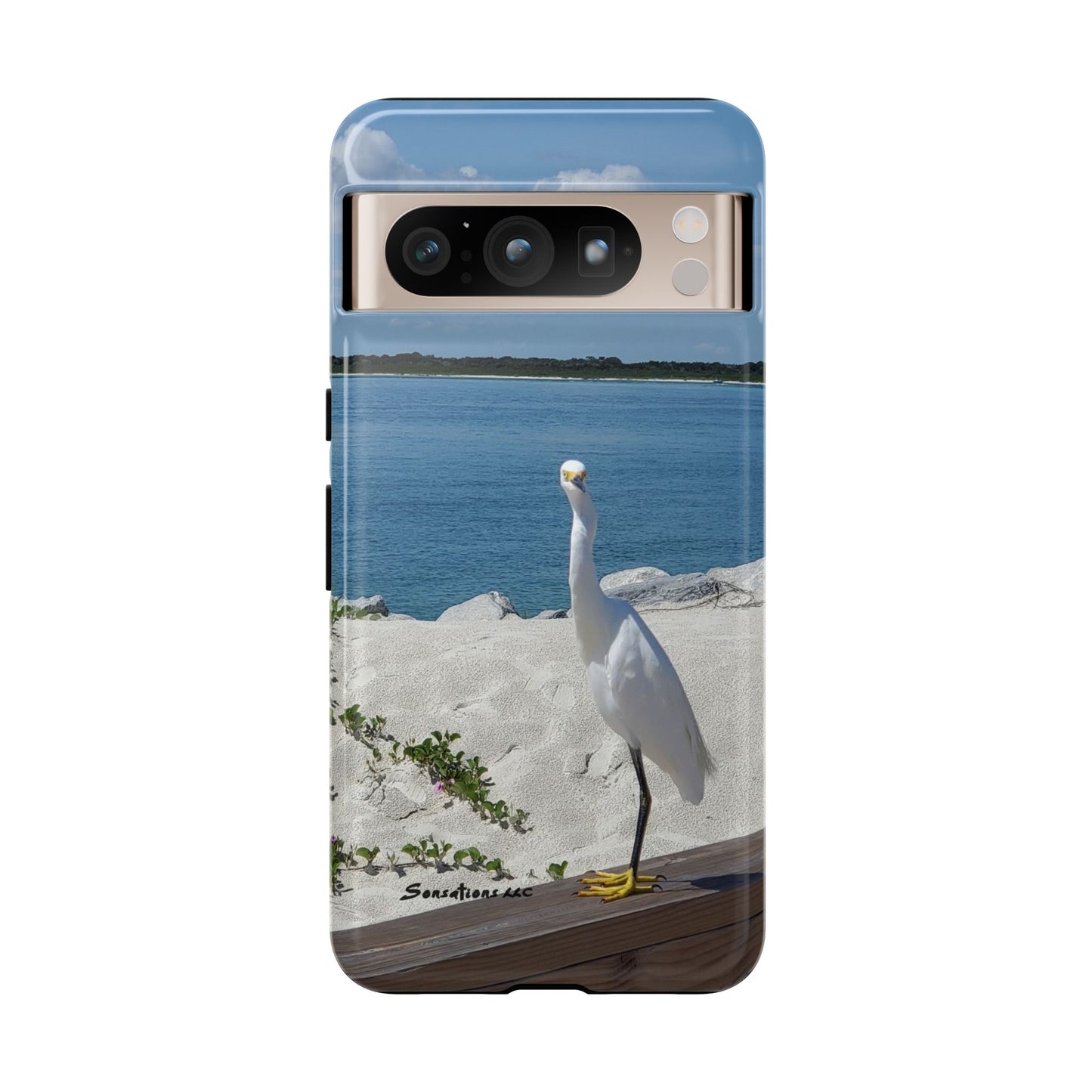 White Bird Looking - Tough Cases