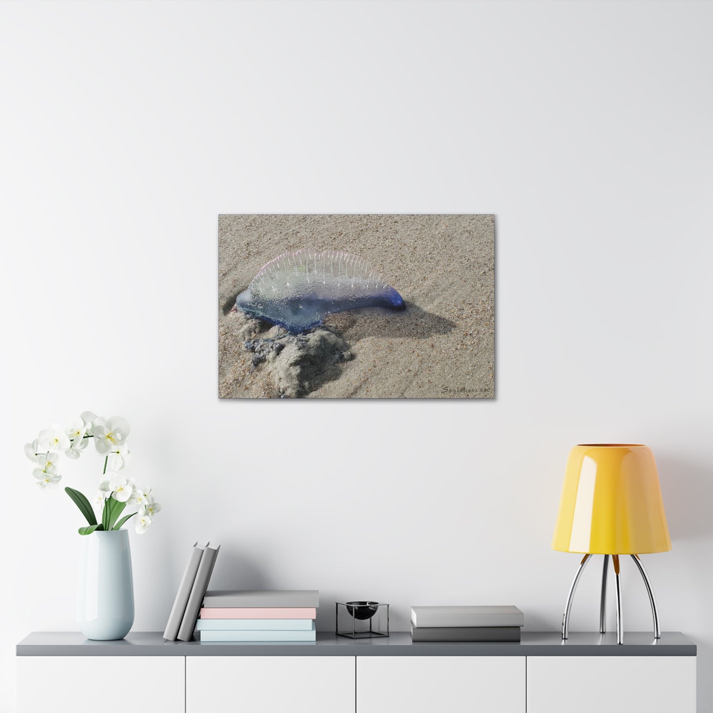 Man O' War Dolphin - Canvas Gallery Wraps