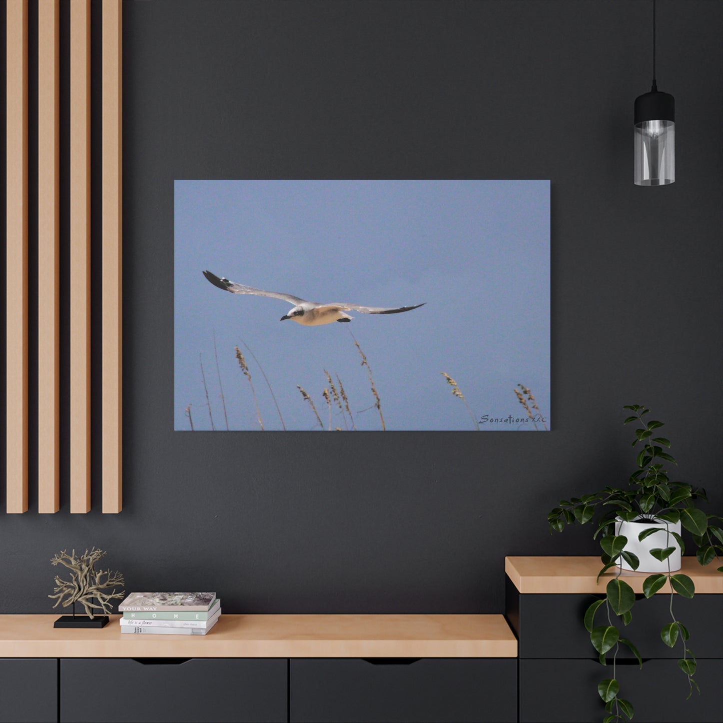 Seagull in flight - Matte Canvas, Stretched, 1.25"