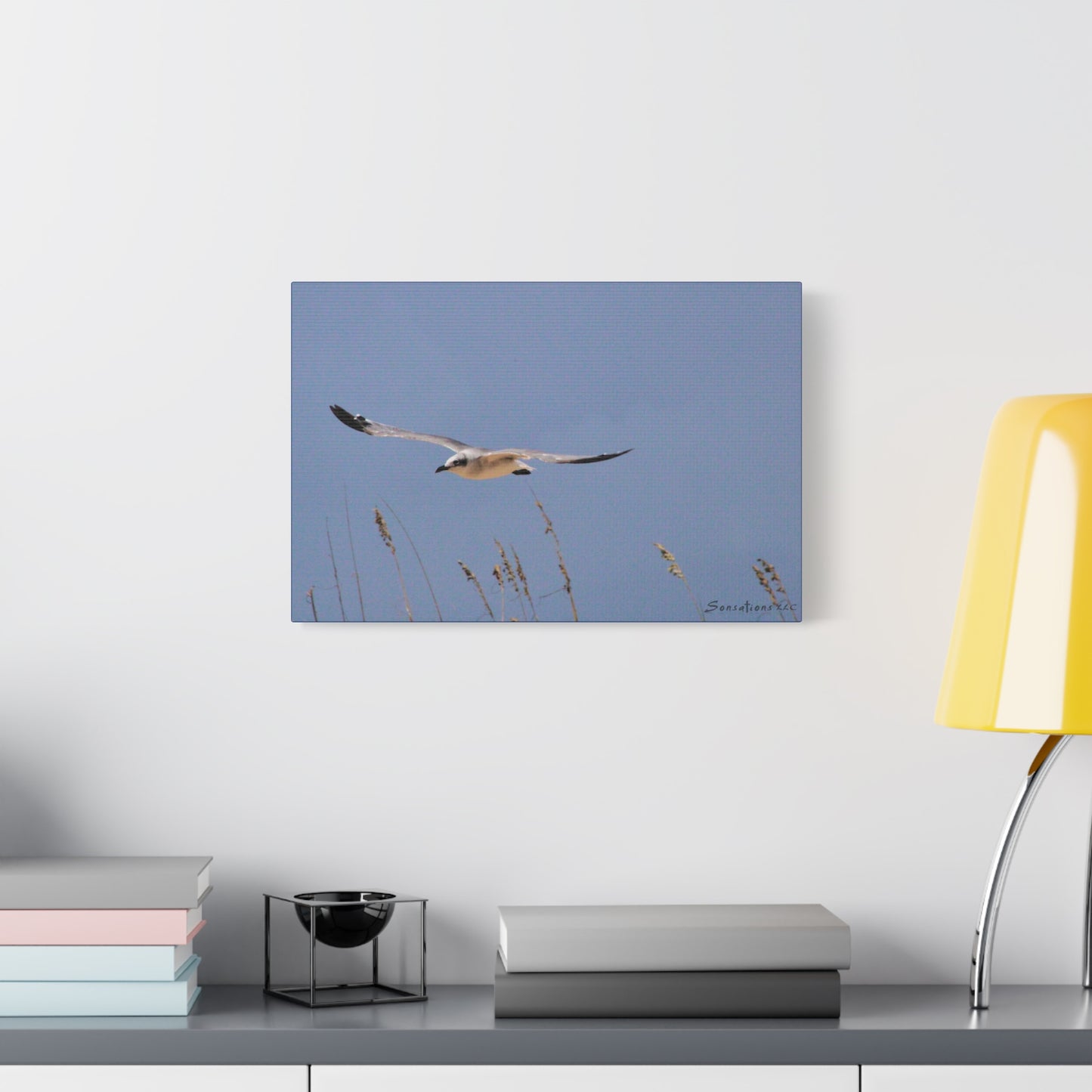 Seagull in flight - Matte Canvas, Stretched, 1.25"