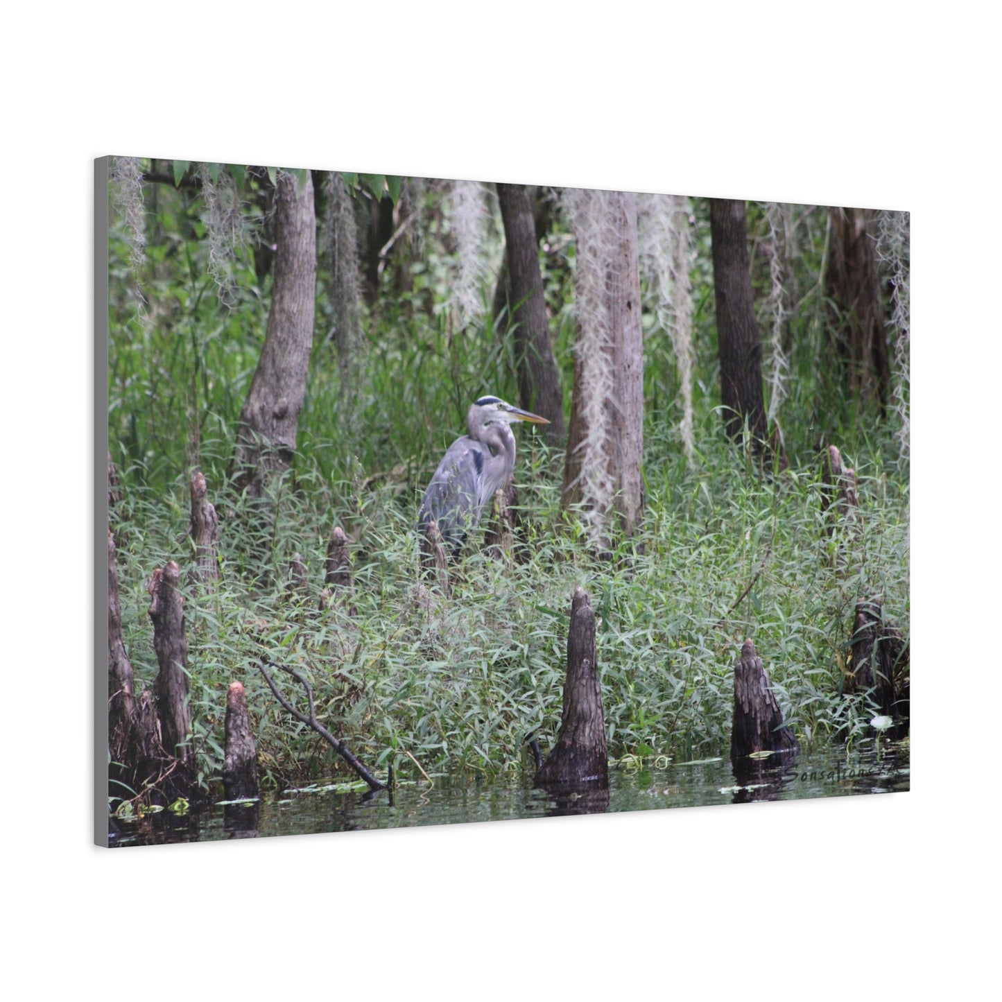 Heron Hunch - Matte Canvas, Stretched, 1.25"