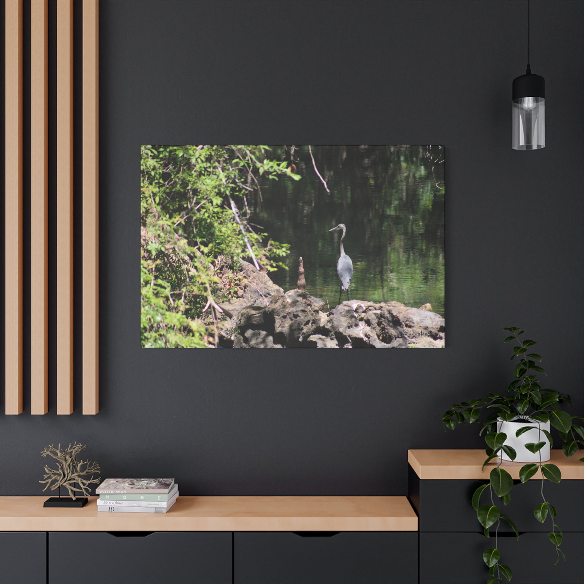 Anhinga bird canvas art featuring a serene scene of the bird near water among lush greenery