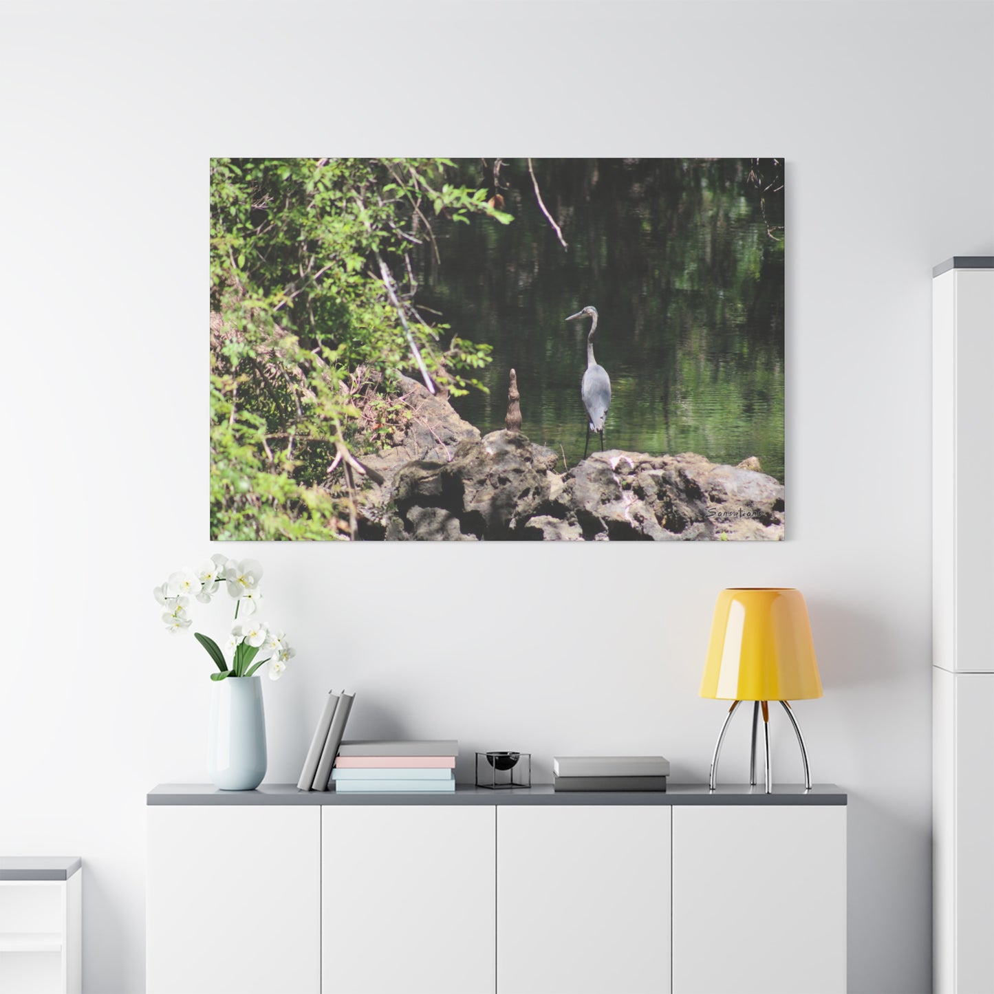 Anhinga bird canvas art featuring a heron by the water in a natural setting