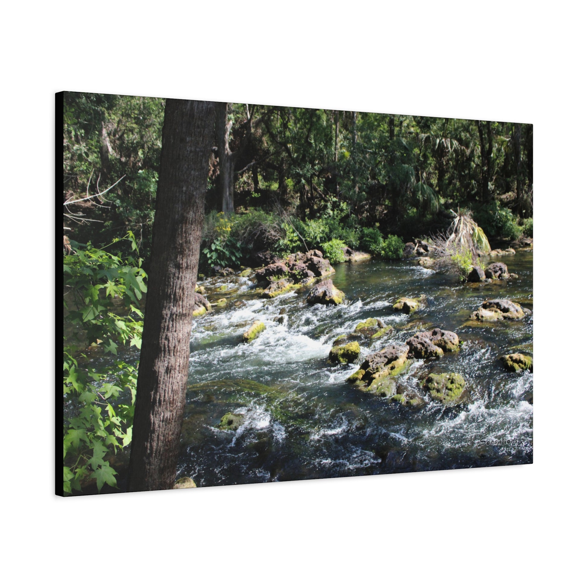 Beautiful River Rapids Print Gift showcasing lush greenery and flowing water for nature lovers