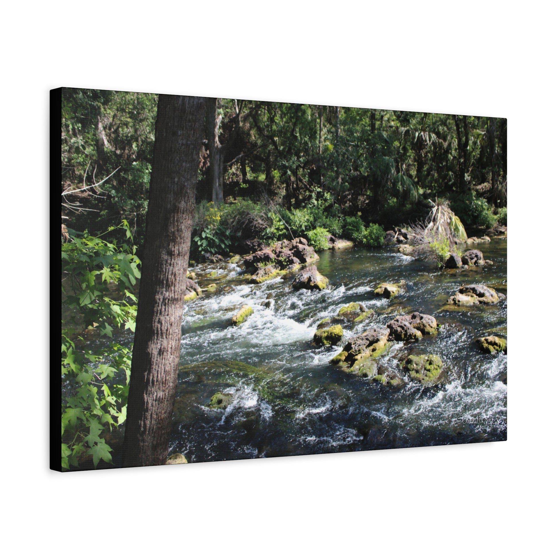 River Rapids Print Gift showcasing a scenic river with lush greenery and flowing water
