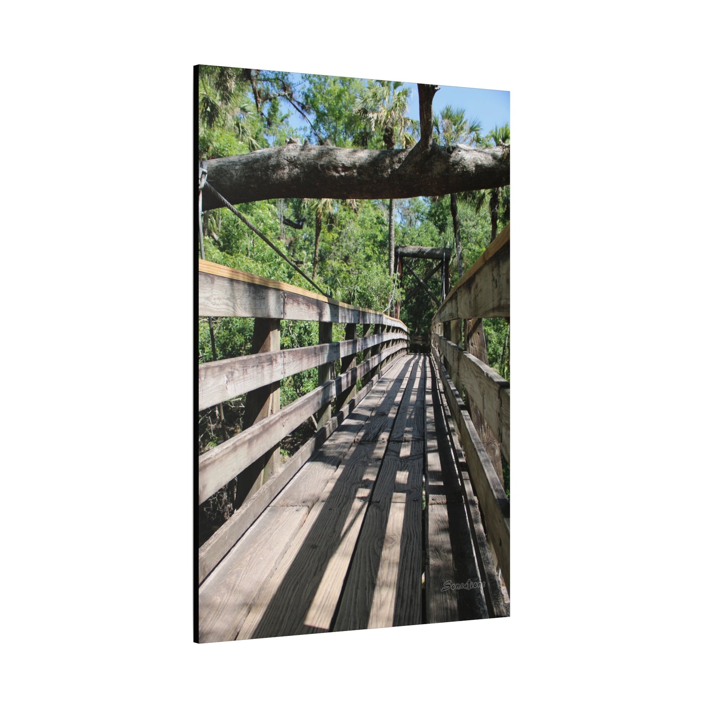 Tranquil bridge nature wall art featuring a wooden walkway surrounded by lush greenery