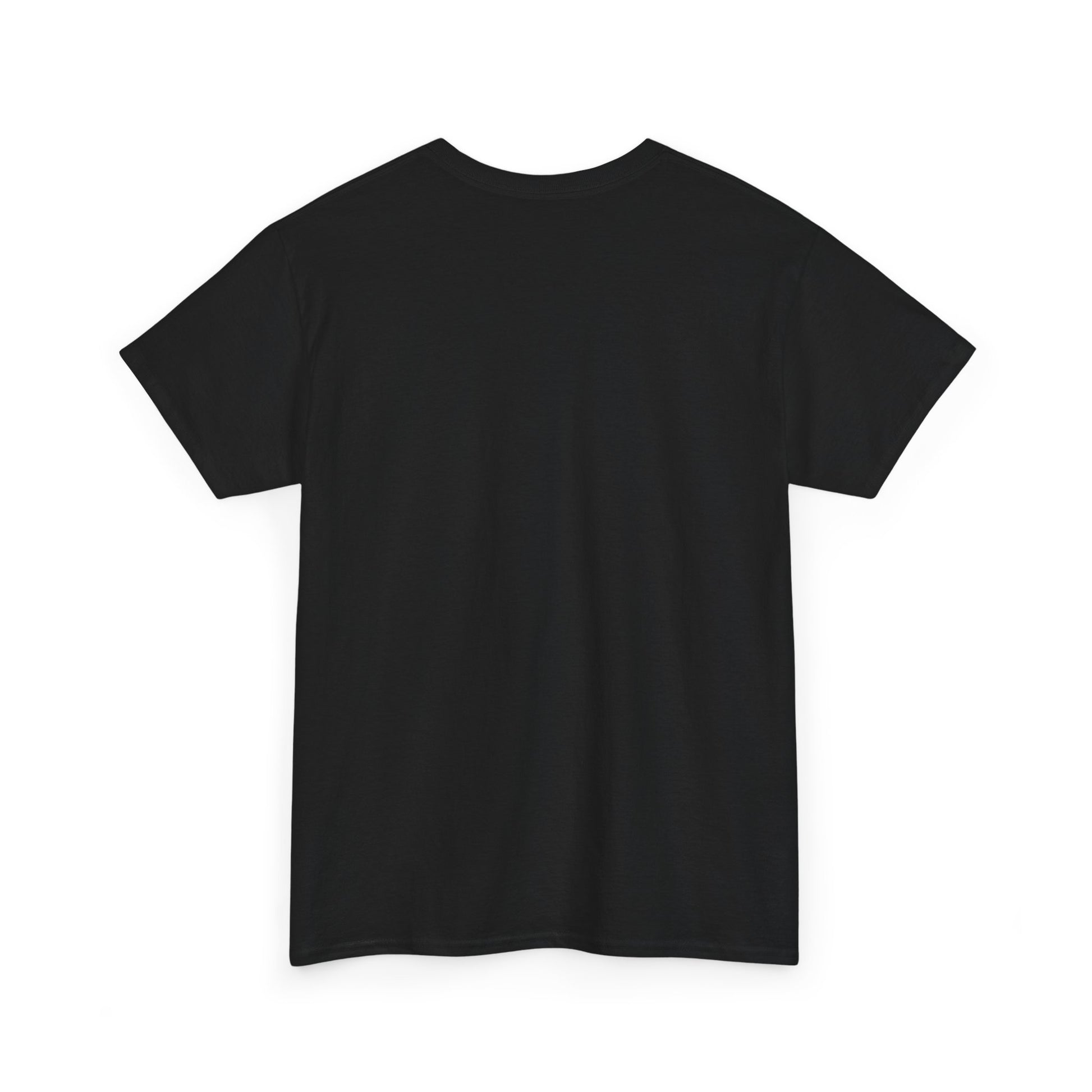 Back view of a black unisex camping t-shirt designed for outdoor enthusiasts and casual wear2