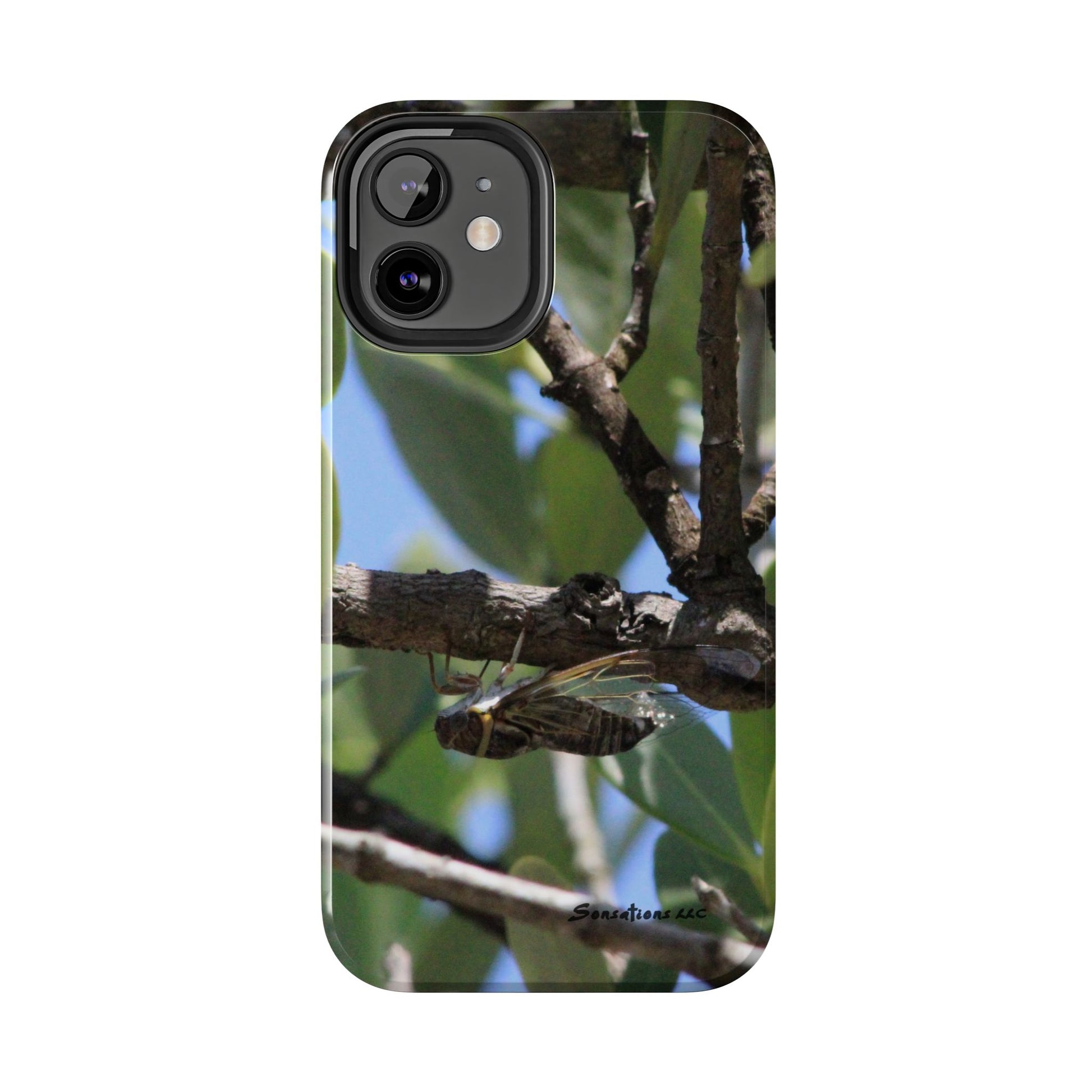 Rugged cicada phone case featuring a close-up of a cicada on a tree branch in natural colors